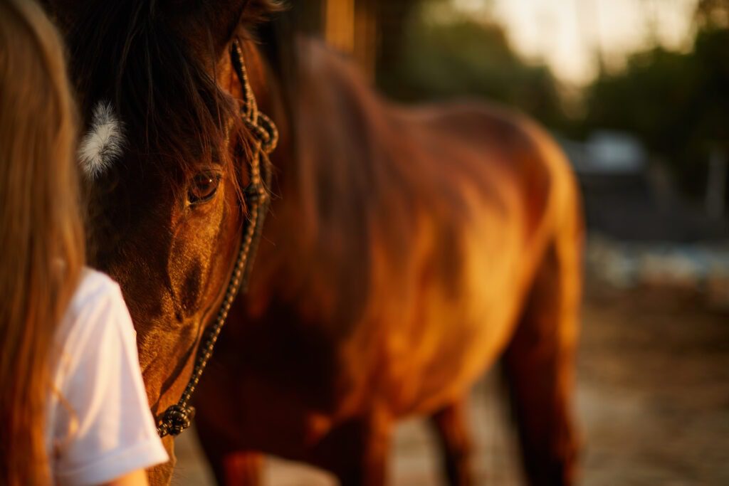 Können Tiere Gedanken lesen?